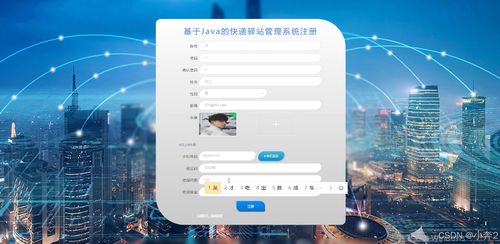 基于SpringBoot與Vue的快遞驛站管理系統的設計與實現