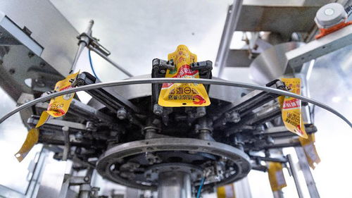 林下如何生 金 來(lái)自安徽的一線觀察