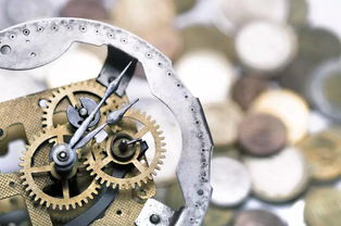 小齒輪，大底氣 揭秘一家不議價(jià)、不售后的齒輪生產(chǎn)企業(yè)